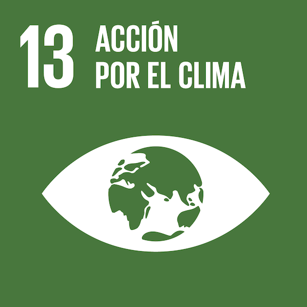 Agenda 2030 del Colegio Valle del Miro