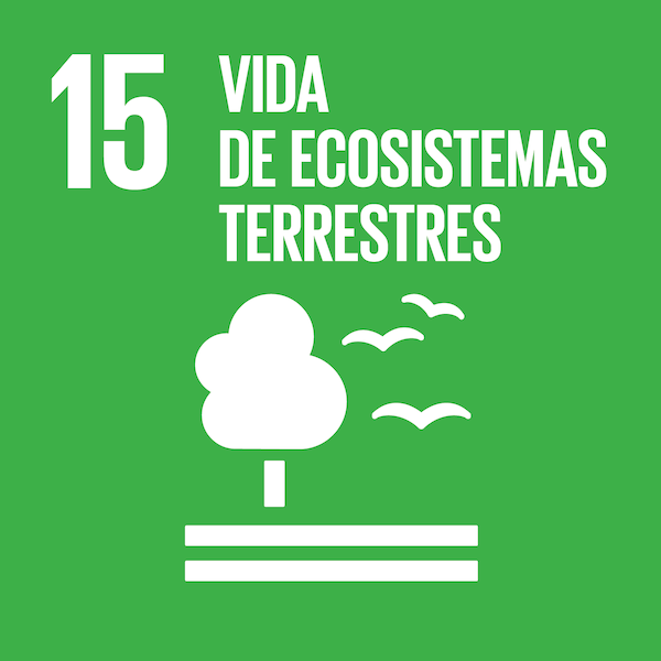 Agenda 2030 del Colegio Valle del Miro