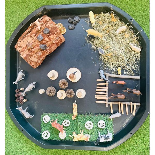 Escuela infantil primer ciclo