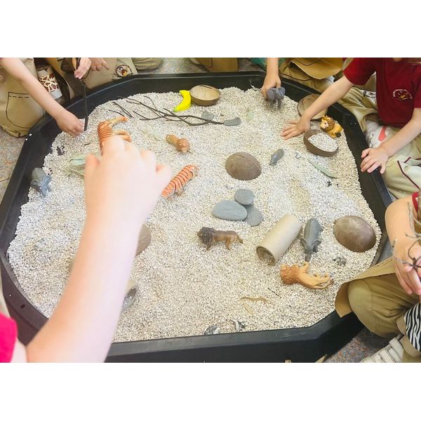 Escuela infantil primer ciclo