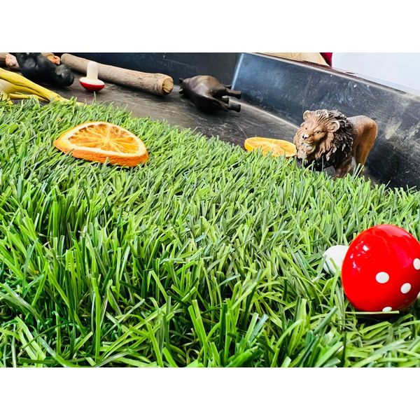 Escuela infantil primer ciclo