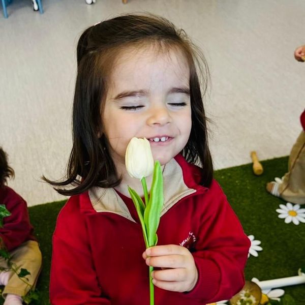 Escuela infantil primer ciclo