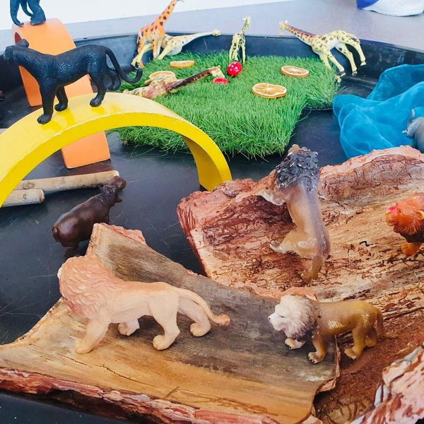 Escuela infantil primer ciclo